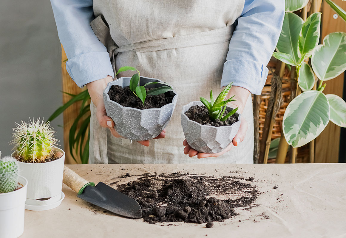 COMDES CEE - Produkty s udržitelnou historií